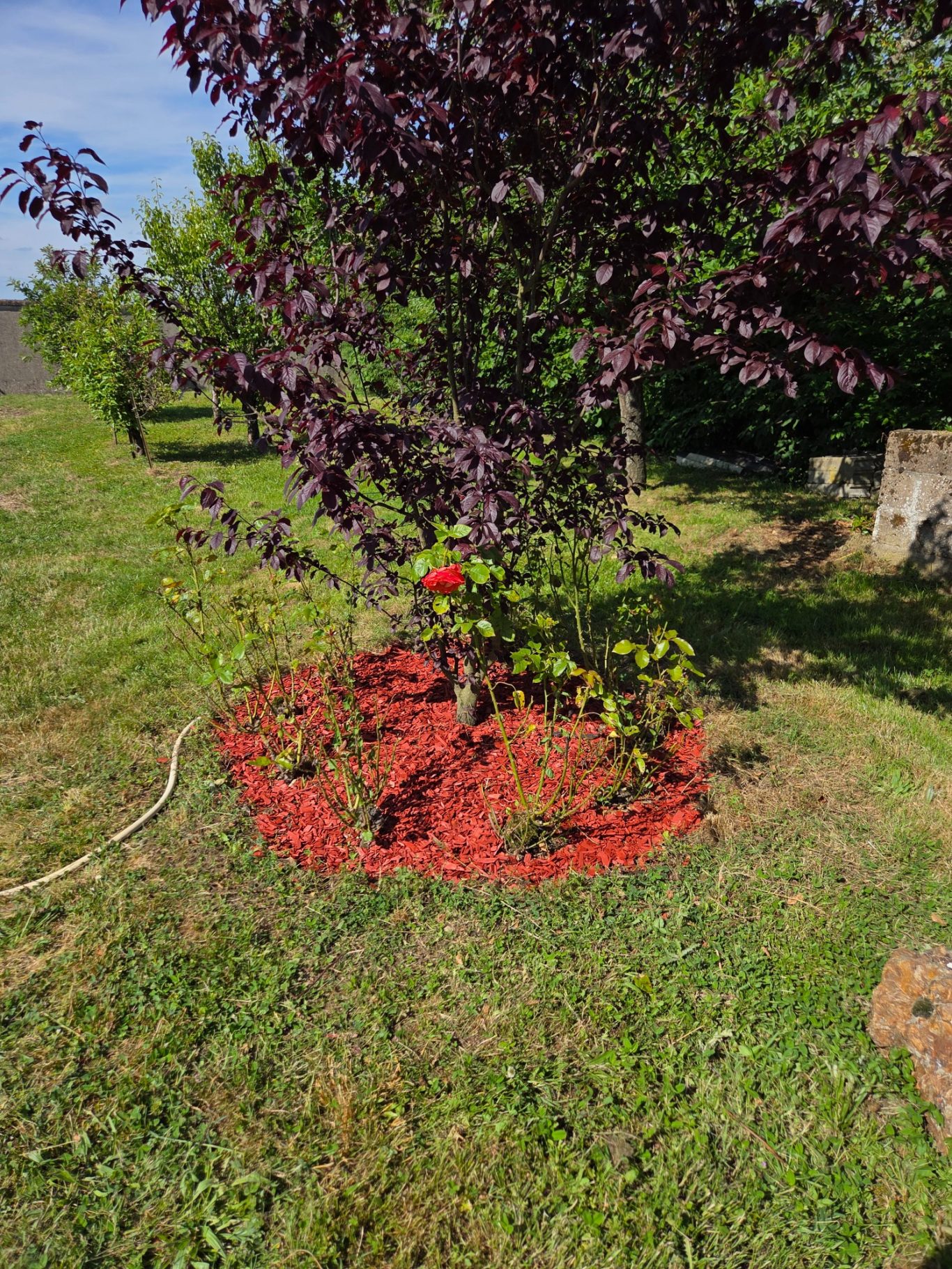 Désherbage et pose de copeaux rouge